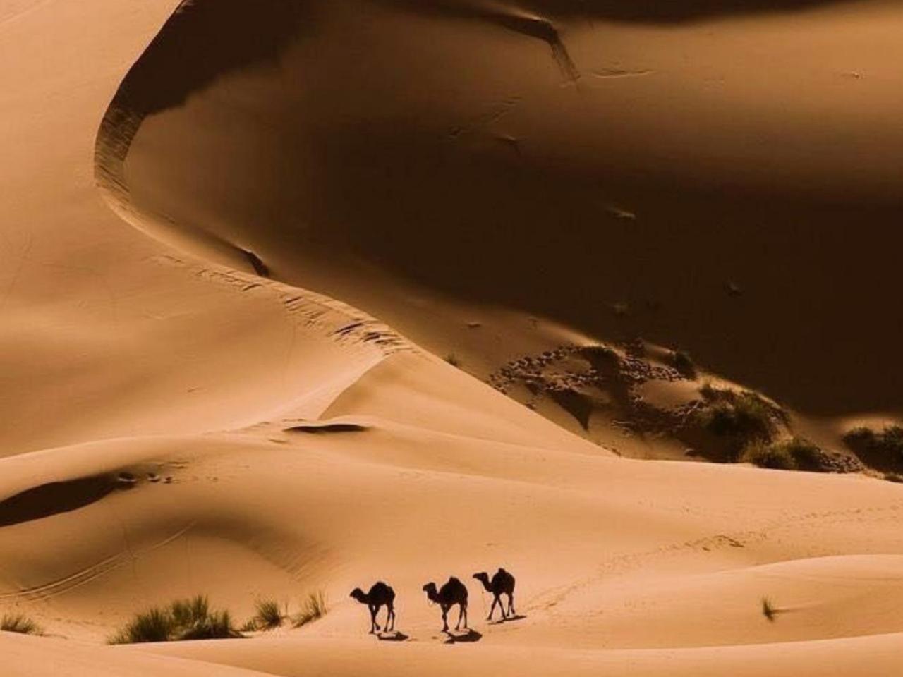Amazing Luxury Camp Hotel Merzouga Bagian luar foto